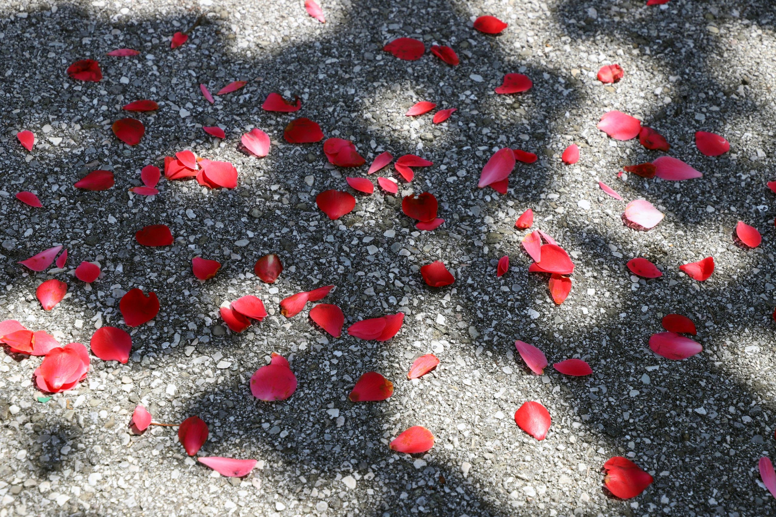 Dogodek – Misel/Ocena – Čustvo in tako naprej do neskončnosti